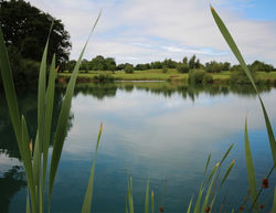 Lakeside Country Park fishing lake