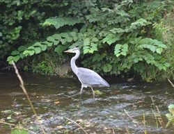 Meet one of our visitors to Lucker Country Park