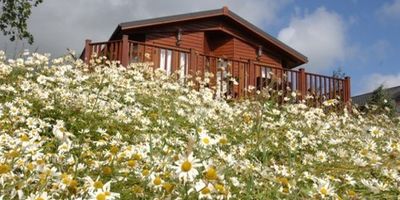 Picture of Blossom Hill Holiday Park, Devon, South West England