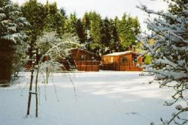 Picture of Dalshian Chalets, Perth & Kinross
