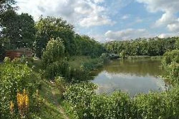 Picture of Leven Park Lake, East Riding Yorkshire